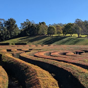 Bago Vineyard - Wineries Near Me - Wauchope, NSW Bago Vineyard - Wineries Near Me - Wauchope, NSW