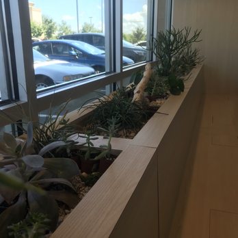 Tealux® Cafe - Bubble Tea Near Me - Norfolk, Virginia