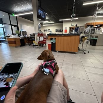 VEG ER for Pets - Open concept - Emergency Pet Hospital Near Me - Alexandria, Virginia VEG ER for Pets - Open concept - Emergency Pet Hospital Near Me - Alexandria, Virginia