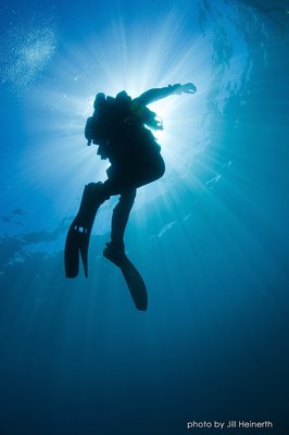 Nautilus Dive Tech by null