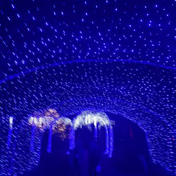 Winterlights at Newfields - Festivals Near Me - Indianapolis, Indiana