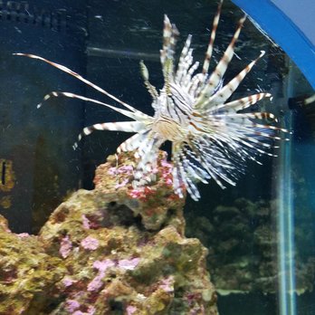 Florida Keys Eco-Discovery Center - Museums Near Me - Key West, Florida