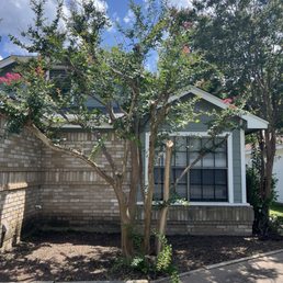 They trimmed back the dead branches on my Crape Myrtle and took off the big limbs going over my roof.