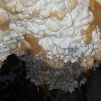 Jewel Cave National Monument - Hiking Near Me - Custer, South Dakota Jewel Cave National Monument - Hiking Near Me - Custer, South Dakota