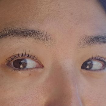 K-Lash - My brows are overdue for a wax, but my lashes look great!! - Eyelash Service Near Me - Los Angeles, California