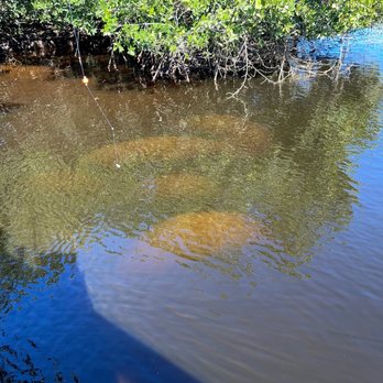 Manatee Park - Parks Near Me - Fort Myers, Florida Manatee Park - Parks Near Me - Fort Myers, Florida