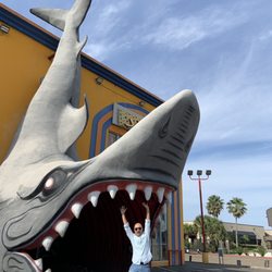 Jaws