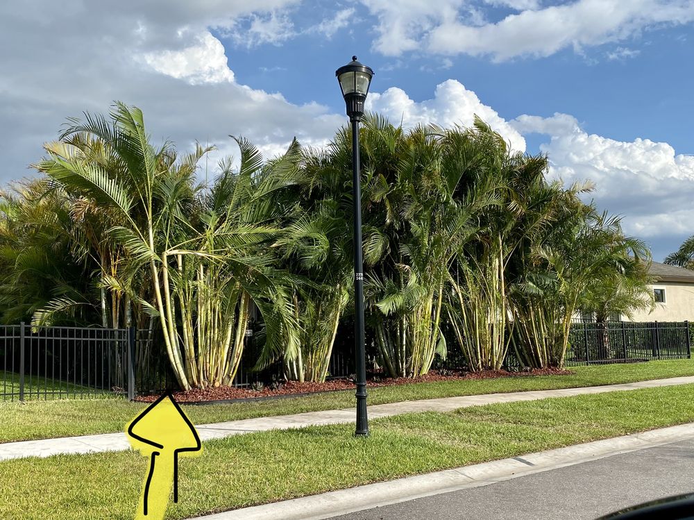 TAMPA NURSERY & GARDEN Updated September 2024 3216 McIntosh Rd