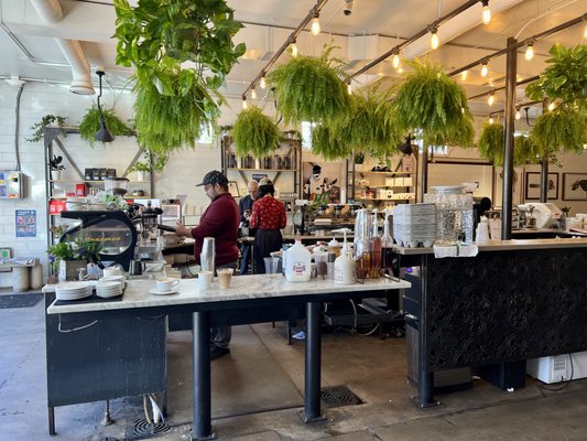 Aviano Coffee Cherry Creek North by null