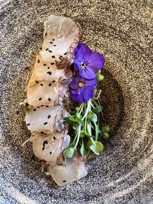 Wave Sushi & Sake by null