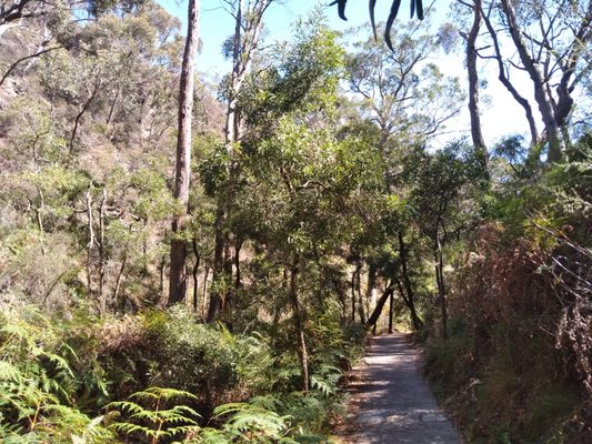 Cleland National Park by null