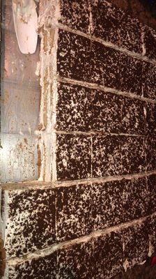 Balkan House by null Balkan House by null