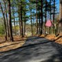 Photo of Ferreira Lawn & Paving