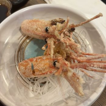 Shinkai Sushi - Sushi Bars Near Me - Dublin, California Shinkai Sushi - Sushi Bars Near Me - Dublin, California