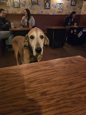 Showtime Lounge by null