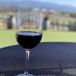 Monte De Oro Winery