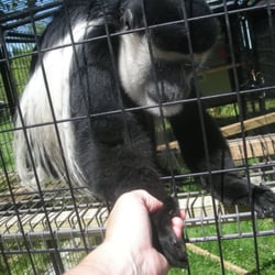 THE SLOTH CENTER AT ZOOLOGICAL WILDLIFE CONSERVATION CENTER - CLOSED