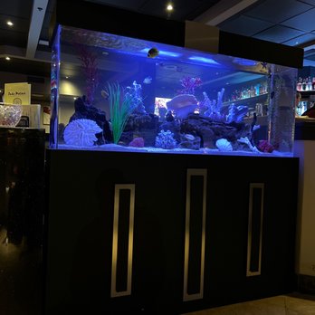 Jade Palace - Aquarium inside - Chinese Near Me - Scottsdale, Arizona Jade Palace - Aquarium inside - Chinese Near Me - Scottsdale, Arizona