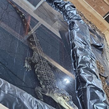 Idaho Reptile Zoo - Zoos Near Me - Boise, Idaho Idaho Reptile Zoo - Zoos Near Me - Boise, Idaho
