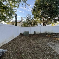 BB’s Backyard & Beyond - Cleanup job on overgrown yard