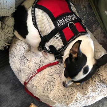 Oak Creek RV Resort - Sad puppy can't go sit in the sun while I soak my broken back. - Campgrounds Near Me - El Cajon, California Oak Creek RV Resort - Sad puppy can't go sit in the sun while I soak my broken back. - Campgrounds Near Me - El Cajon, California