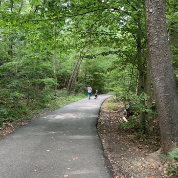 Dora Kelley Nature Park - Parks Near Me - Alexandria, Virginia Dora Kelley Nature Park - Parks Near Me - Alexandria, Virginia