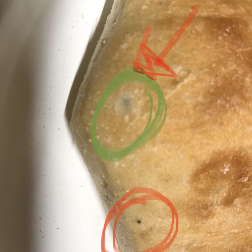 Vons - Mold ! - Grocery Near Me - Yucaipa, California Vons - Mold ! - Grocery Near Me - Yucaipa, California