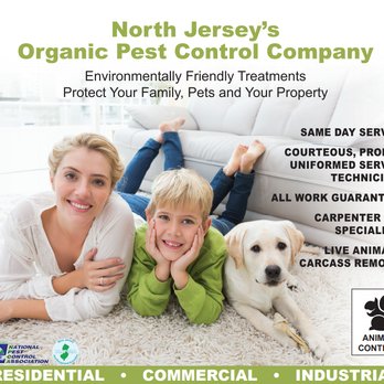 All Natural Pest Control Solutions - Pest Control Near Me - Secaucus, New Jersey