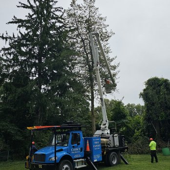 Cooks Tree Service - Tree Services Near Me - Lincroft, New Jersey Cooks Tree Service - Tree Services Near Me - Lincroft, New Jersey
