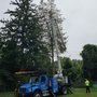Cooks Tree Service