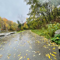 Mississauga Valley Park