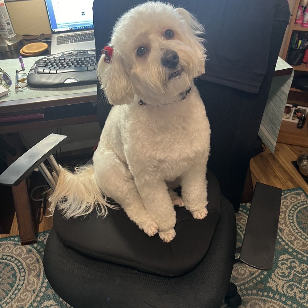 Chloe liked her spa day Chloe liked her spa day