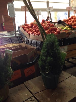 Hyde Park Produce Market by null