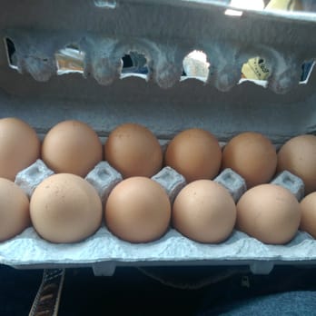 Billy's Egg Farm - Laid twenty minutes ago... Awsome! Hormone steroid free! - Specialty Food Near Me - Chino, California Billy's Egg Farm - Laid twenty minutes ago... Awsome! Hormone steroid free! - Specialty Food Near Me - Chino, California