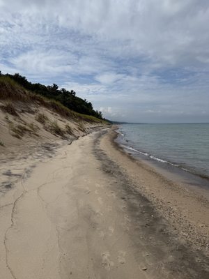 Warren Dunes State Park by null
