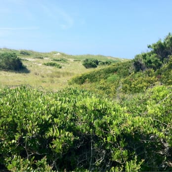 Ocracoke Island Campground - Campgrounds Near Me - Ocracoke, North Carolina