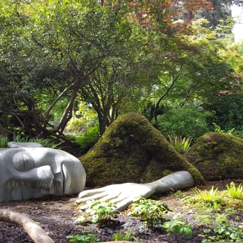 Beacon Hill Park - Moss Lady - Parks Near Me - Victoria, British Columbia