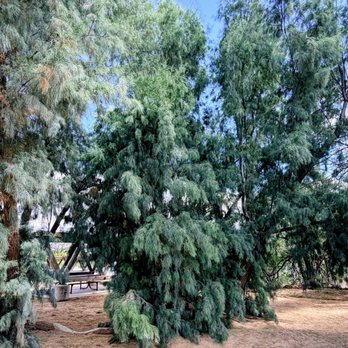 Dankworth Ponds State Park - Parks Near Me - Safford, Arizona Dankworth Ponds State Park - Parks Near Me - Safford, Arizona