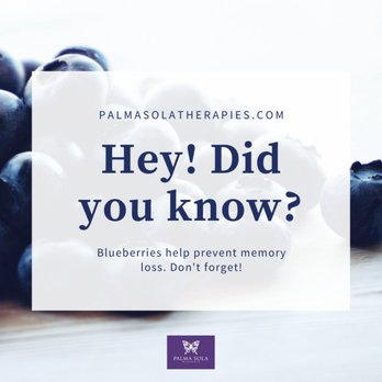Palma Sola Wellness - Who doesn't love blueberries? We have lots of tips and tools for your health. - Acupuncture Near Me - Bradenton, Florida Palma Sola Wellness - Who doesn't love blueberries? We have lots of tips and tools for your health. - Acupuncture Near Me - Bradenton, Florida