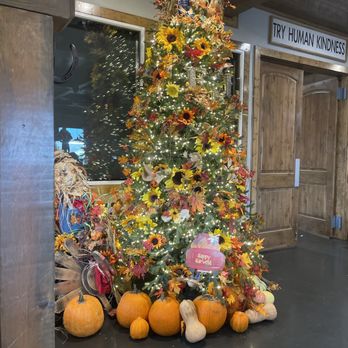 Trail Riders Restaurant - Lobby - American Near Me - Eagar, Arizona