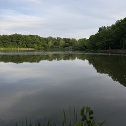 Herrick Lake Forest Preserve - Lake