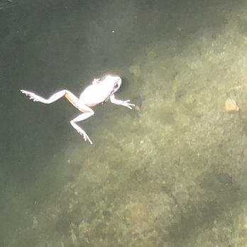 First Creek Trail - June 2018. Bring lots of water. - Hiking Near Me - Las Vegas, Nevada