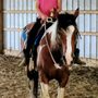 Photo of J4 Ranch