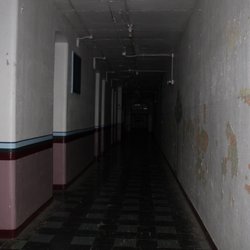 Official Randolph County Infirmary/Asylum