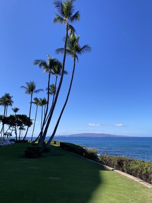 Kamaole Beach Park I by null
