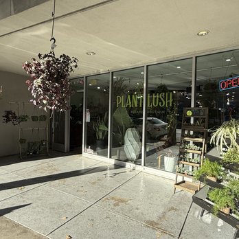 Plantlush - Nurseries & Gardening Near Me - San Jose, California Plantlush - Nurseries & Gardening Near Me - San Jose, California