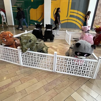 Animal World - Animal Choices - Kids Activities Near Me - Louisville, Kentucky