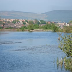 Dare Valley Park - Dare Valley Park, Aberdare, South Wales