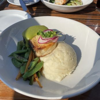 Ray's Café - Halibut - Seafood Near Me - Seattle, Washington Ray's Café - Halibut - Seafood Near Me - Seattle, Washington