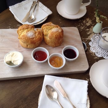 Kitten and the Bear - Coffee & Tea Near Me - Toronto, Ontario